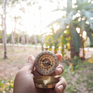 forest setting compass in a hand