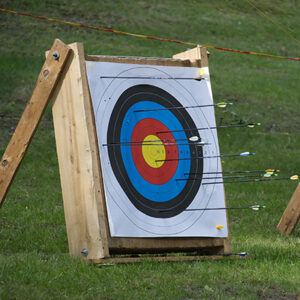 target with many arrows missing the target